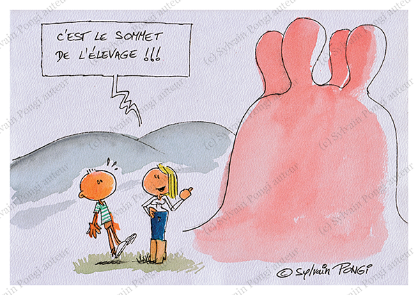 sommet