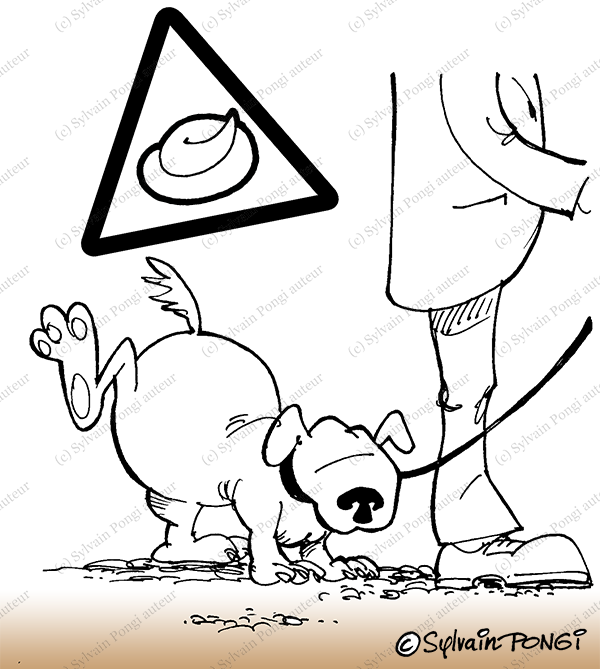crotte chien propreté rue