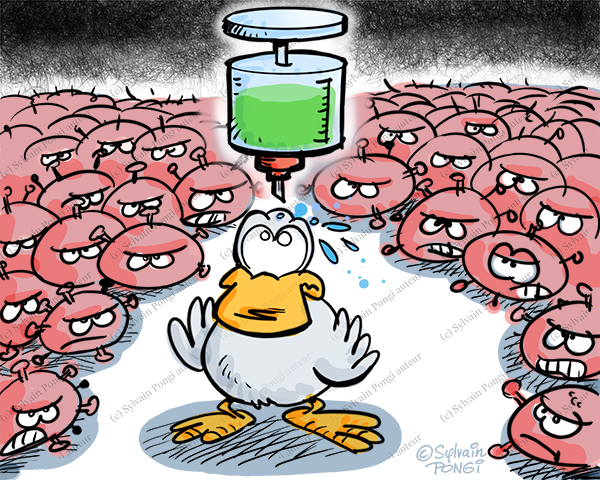grippe aviaire