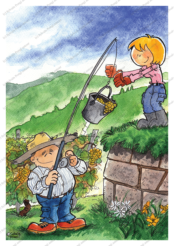 vendanges
