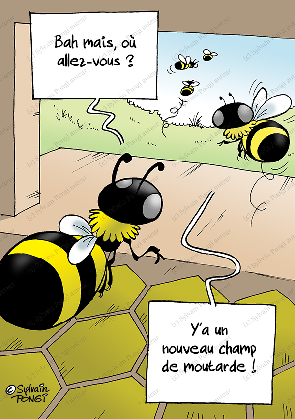 plantes mieliferes
