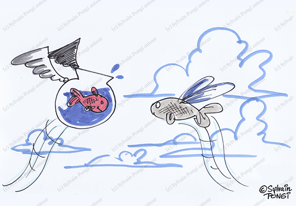poissons volants