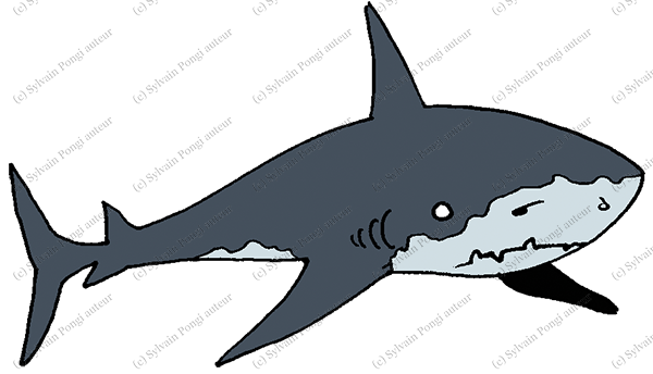 requin