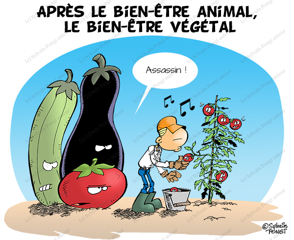vegetal
