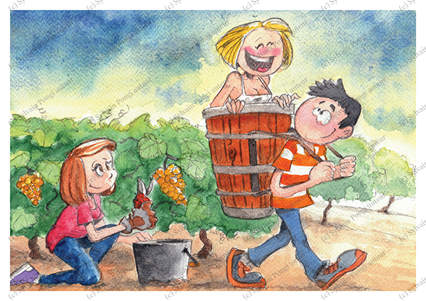 vendanges