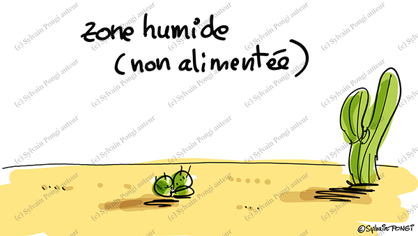 zone humide