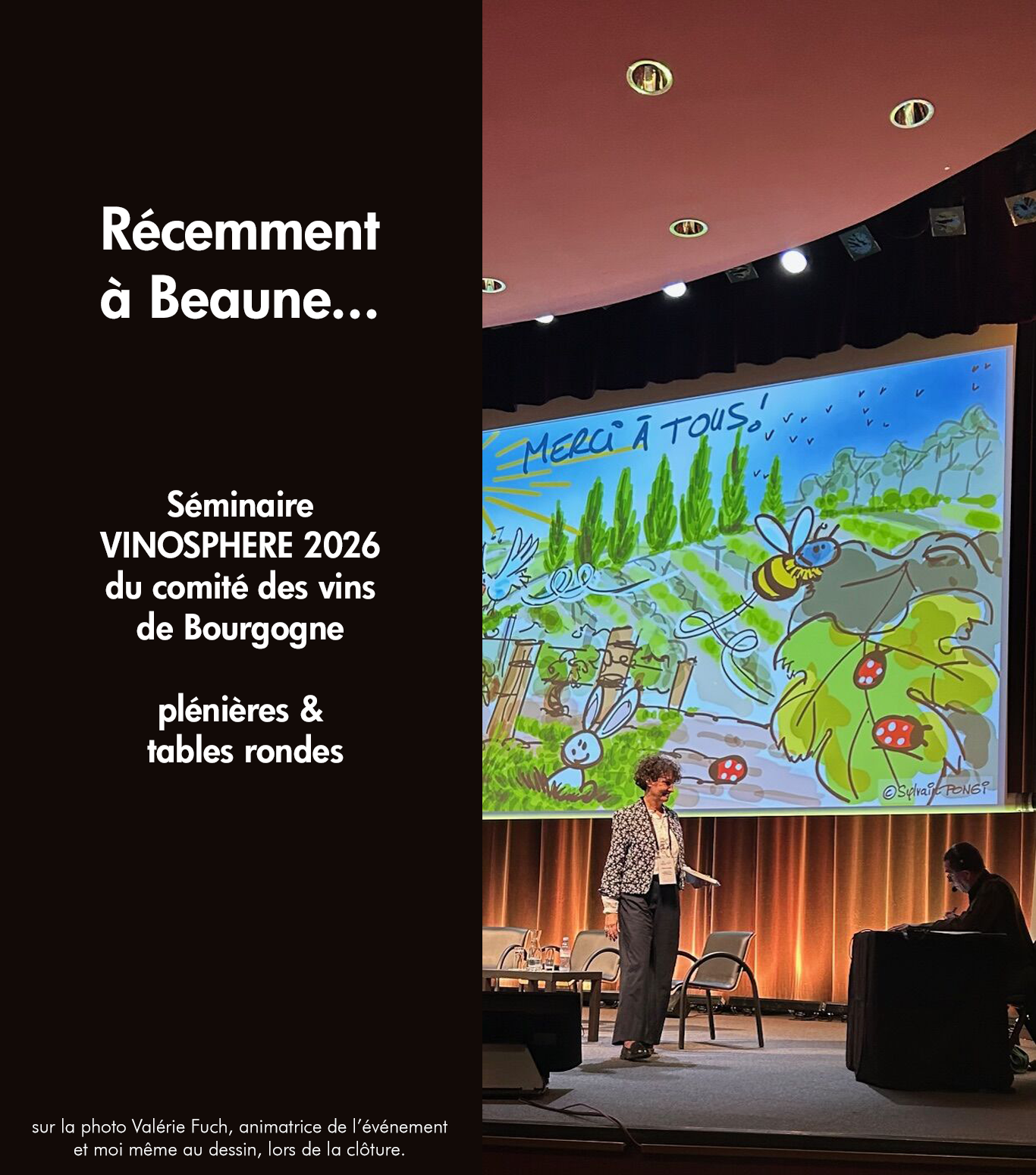 dessin en direct conference seminaire congres