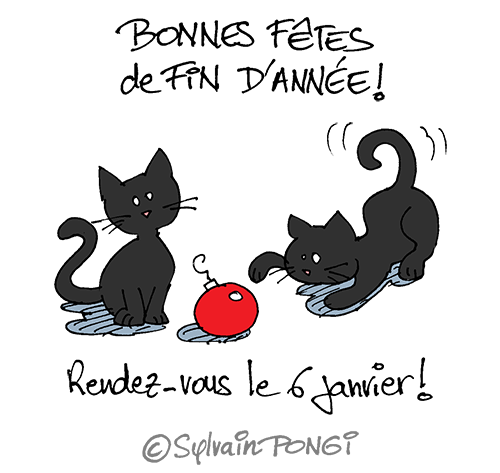 chats fin année