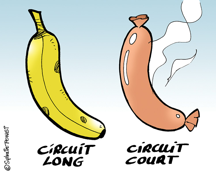 circuit court