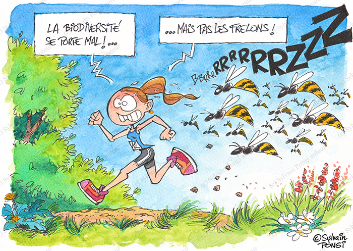 frelons bozouls (c) pongi humour aquarelle illustration