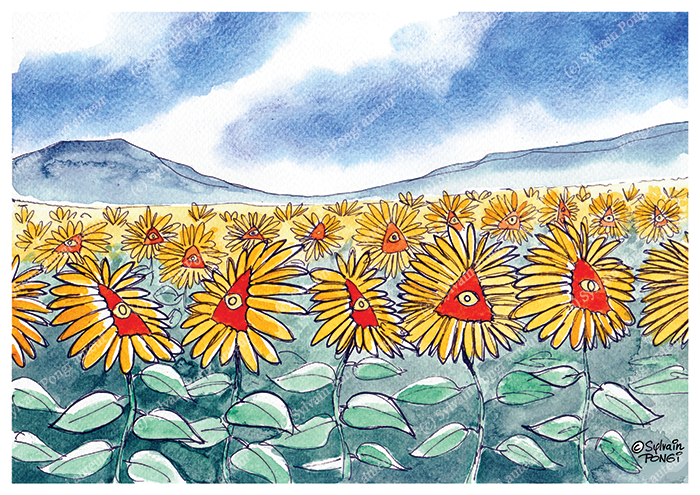 tournesols