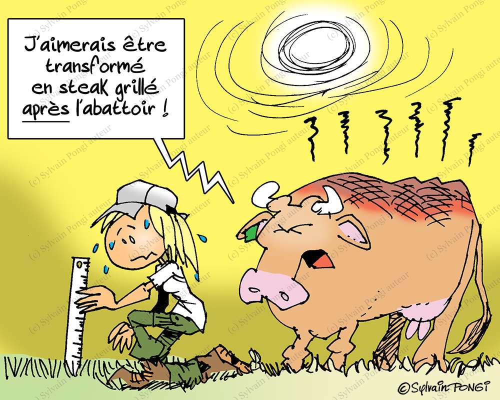 canicule agriculture