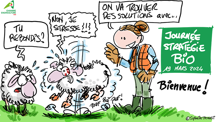 dessin en direct