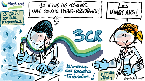 dessin en direct