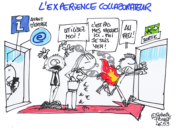 expérience collaborateur