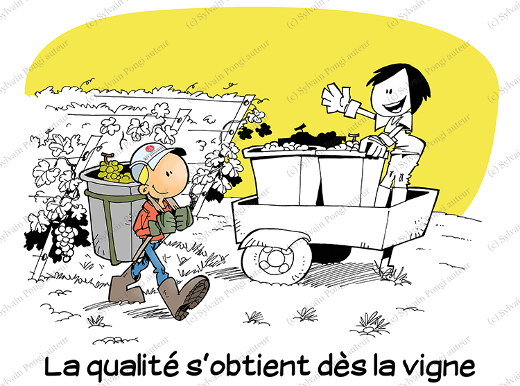 fresque valeurs agriculture viticulture