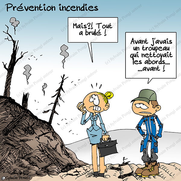 incendies élevage agriculture