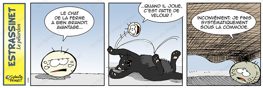 chaton joue