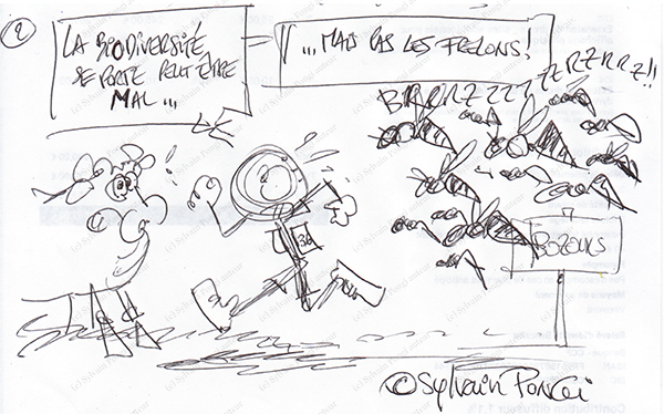 humour bozouls frelons