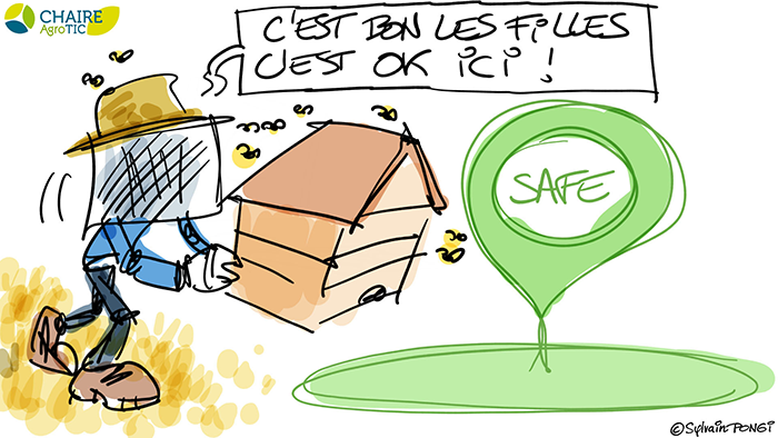 dessin en direct