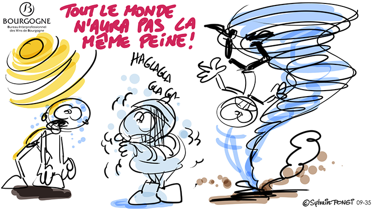 dessin direct