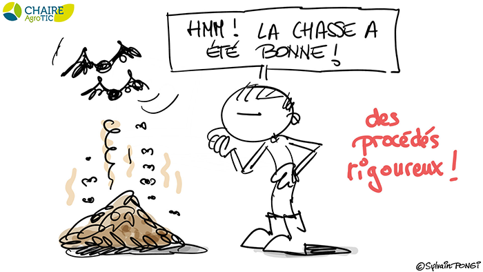 dessin en direct