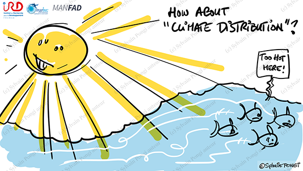 dessin en direct
