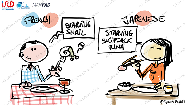 dessin en direct