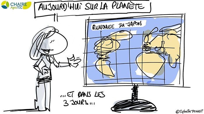 dessin en direct