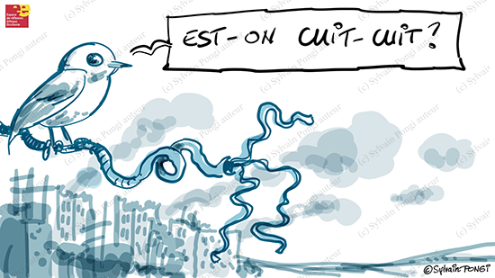 oiseaux biodiversité