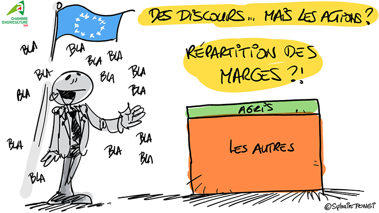 dessin en direct