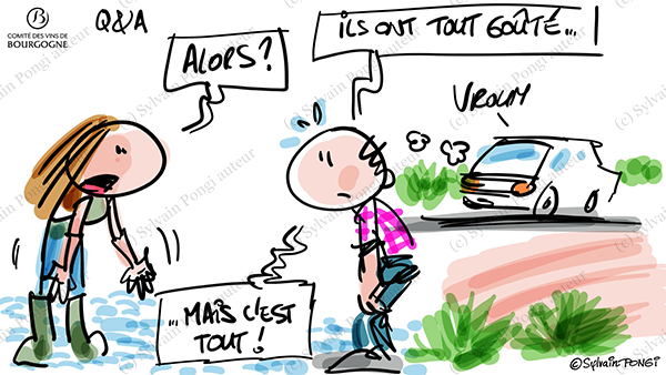 dessin en direct oenotourisme