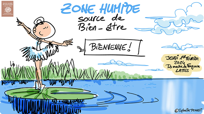 jmzh dessin en direct