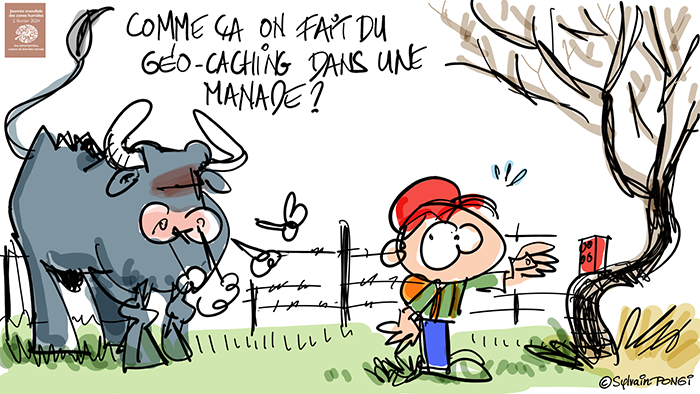 dessin en direct