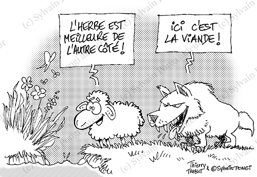 mouton-loup-dessin_(c)SylvainPongi