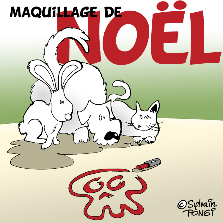 noel responsable