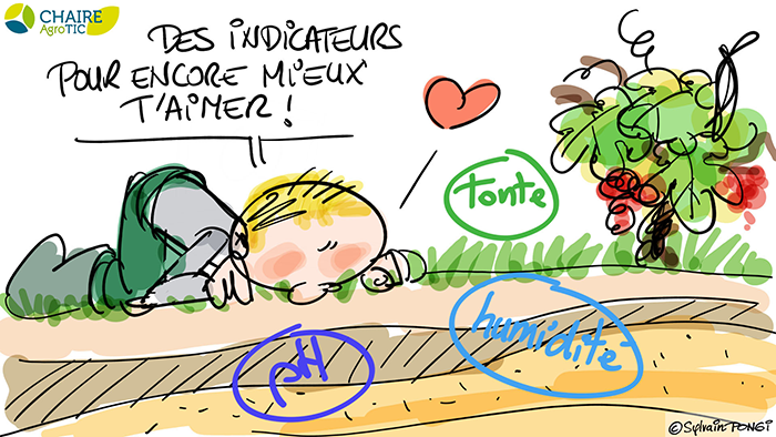 dessin en direct