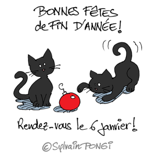 chats fin année
