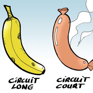 circuit court