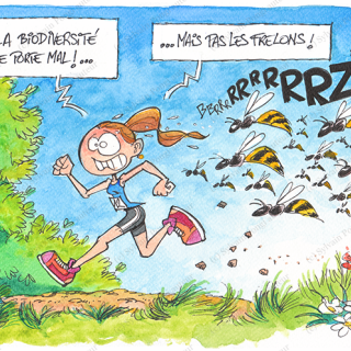 frelons bozouls (c) pongi humour aquarelle illustration