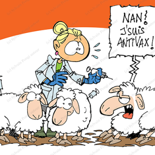 mouton antivax