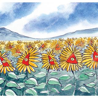 tournesols