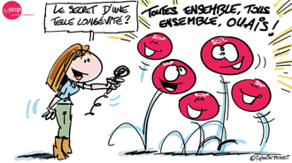 dessin en direct