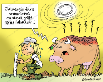 canicule agriculture