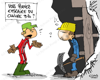 dessin sylvain pongi cuivre viticulture