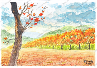 champs automne aquarelle