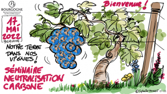 neutralisation carbone