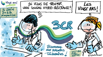 dessin en direct