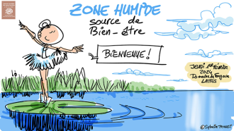 dessin en direct zone humide