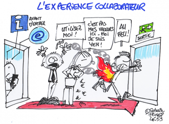 expérience collaborateur